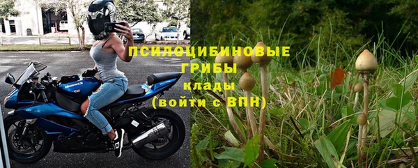 шишки Баксан