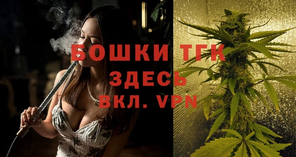 шишки Баксан