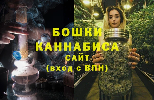 шишки Баксан