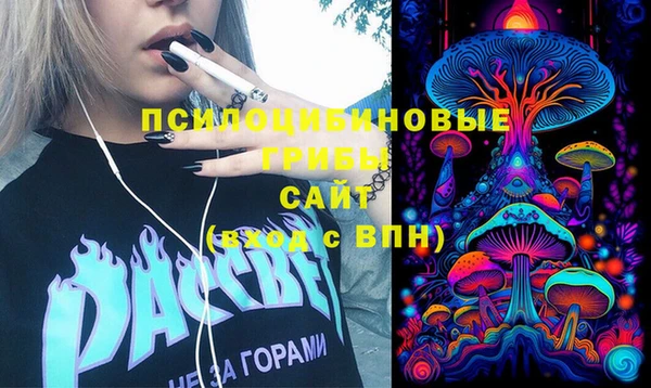 шишки Баксан