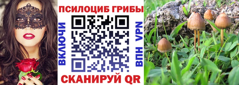 Галлюциногенные грибы мухоморы  Сельцо 